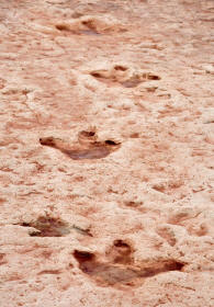 Dinosaur Trail Near Tuba City USA