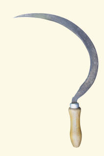 Sickle
