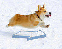 Cenral Line for a Corgi
