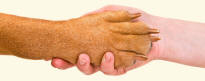Dog Paw and Human Hand