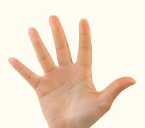 Human Hand