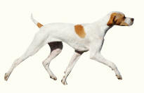 Pointer