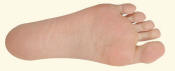 Sole of Human Foot